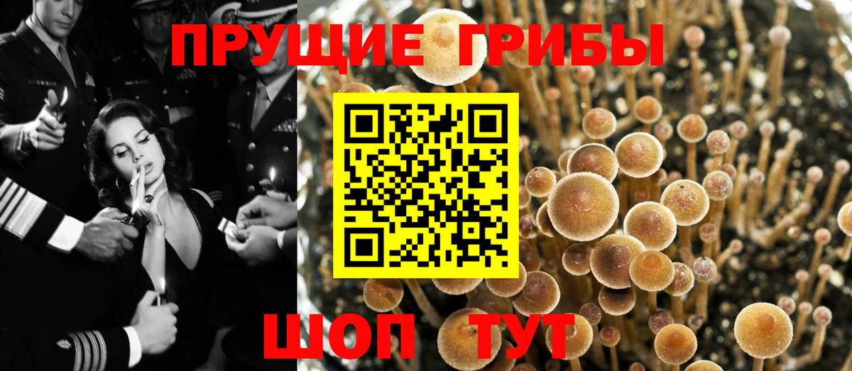 Галлюциногенные грибы мухоморы  Вход с VPN  Псилоцибиновые грибы ЛСД  Тайшет 