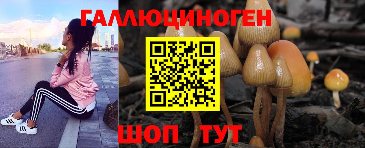 Галлюциногенные грибы ЛСД Тайшет